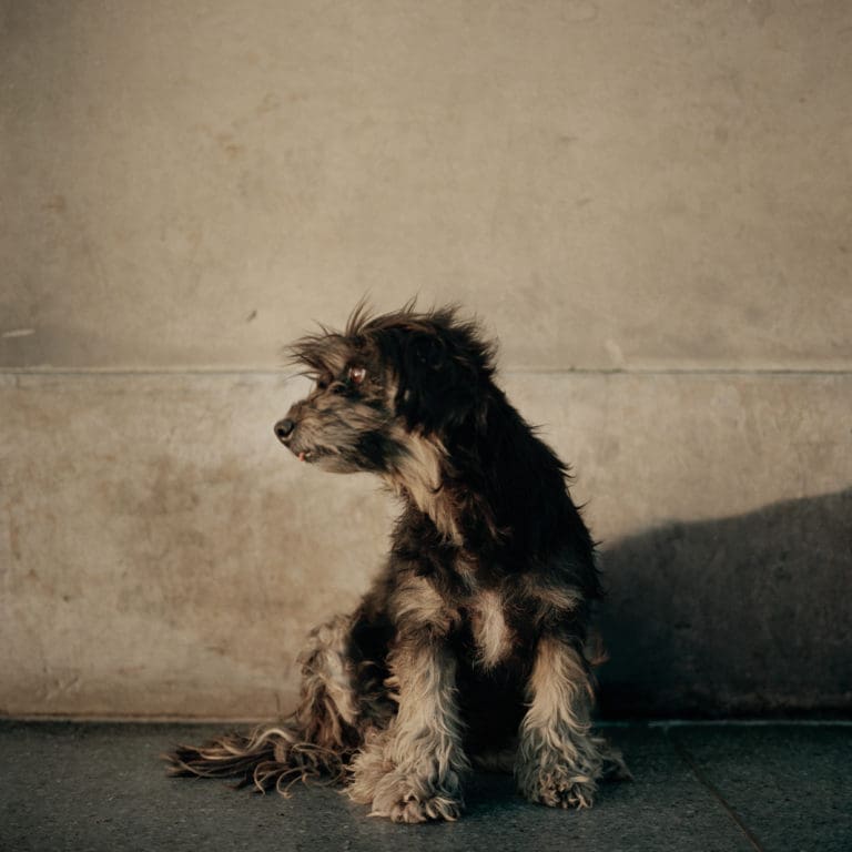 Untitled - Photographie Alec Soth