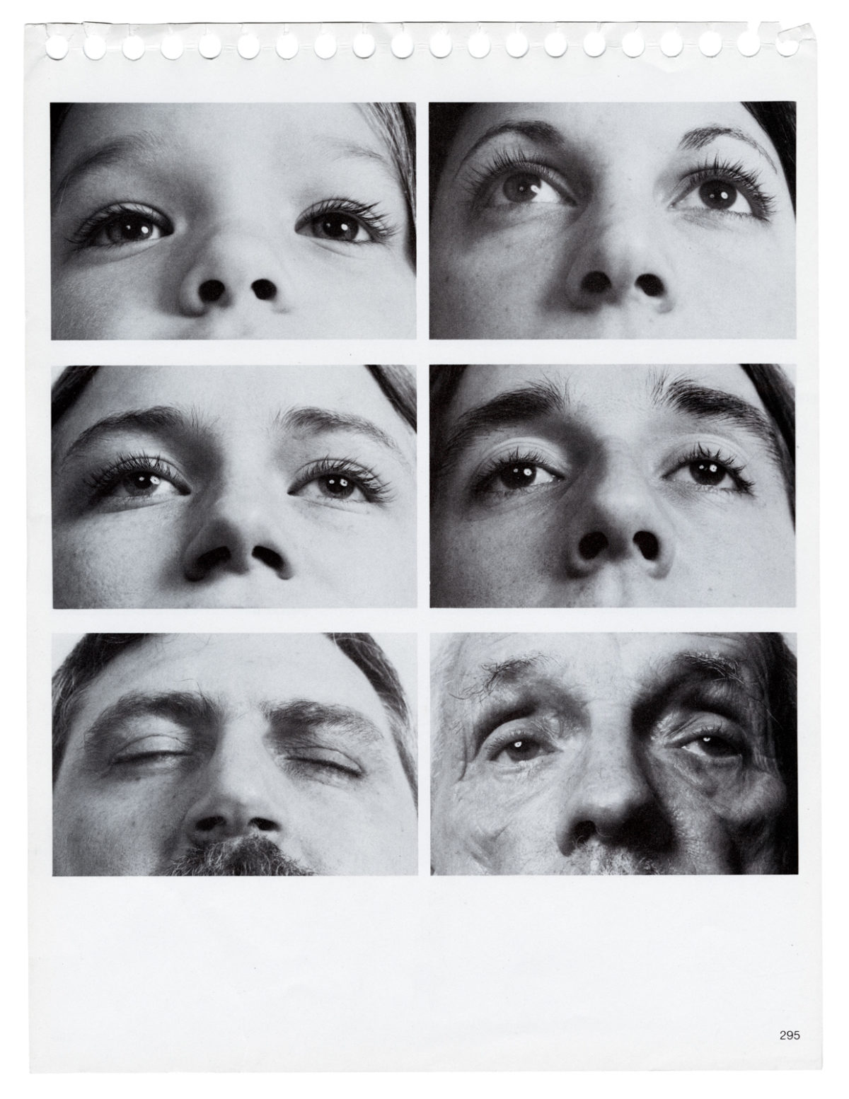 Photo Carmen Winant ARRANGEMENTS